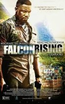 Falcon Rising 2014 Türkçe Altyazılı izle