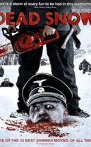 Dead Snow – Ölü Kar – 2009 Türkçe Altyazılı izle