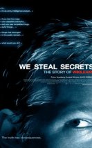 Sırları Çalıyoruz: Wikileaks’in Öyküsü 2013 Türkçe Dublaj izle