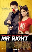 Mr. Right 2015 Türkçe Dublaj izle