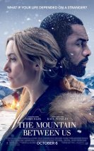 Aramızdaki Sözler izle | The Mountain Between Us 2017 Türkçe Dublaj izle