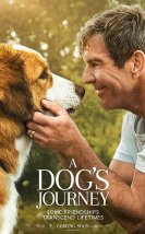 A Dog’s Journey 2019 Türkçe Dublaj Film izle