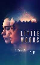 Küçük Orman izle – Little Woods 2019 Filmi izle