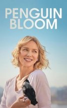 Umut Kuşu – Penguin Bloom 2021 Filmi izle