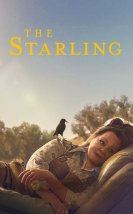 The Starling izle – The Starling 2021 Filmi izle