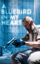 A Bluebird in My Heart izle (2018)