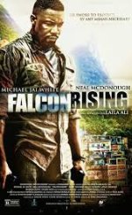 Falcon Rising 2014 Türkçe Altyazılı izle