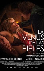 Kürklü Venüs  Türkçe Dublaj izle