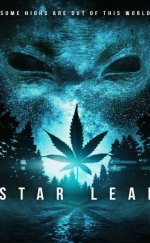 Star Leaf 2015 izle