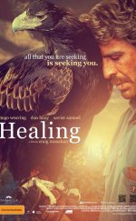 Şifacı – Healing 2014 Türkçe Dublaj izle