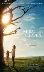 Miracles from Heaven 2016 Türkçe Altyazılı izle