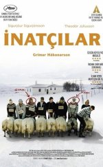 İnatçılar izle – Hrutar (2015)