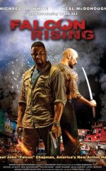 Falcon Rising 2014 Türkçe Dublaj izle