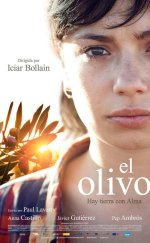 Zeytin Ağacı – El olivo 2016 Türkçe Dublaj izle