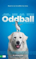 Cesur Köpek 2016 Türkçe Dublaj izle