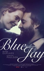 Blue Jay 2016 Türkçe Altyazılı izle