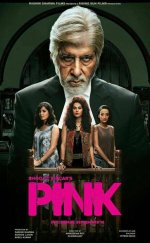 Pink 2016 Türkçe Altyazılı izle