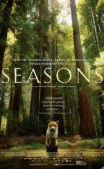 Mevsimler – Les saisons (2016) Türkçe Dublaj izle