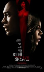 Taşıyıcı Anne | When The Bough Breaks (2016) Türkçe Dublaj izle