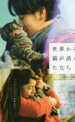 If Cats Disappeared from the World izle | 2017 Türkçe Altyazılı izle