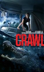 Crawl izle | Ölümcül Sular 2019 Türkçe Altyazılı izle