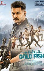 Operation Gold Fish izle | 2019 Türkçe Altyazılı izle