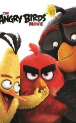 Angry Birds izle | The Angry Birds Movie 2016 Türkçe Altyazılı izle