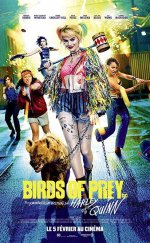 Yırtıcı Kuşlar izle – Yırtıcı Kuşlar (ve Muhteşem Harley Quinn) 2020 Filmi izle