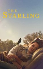 The Starling izle – The Starling 2021 Filmi izle