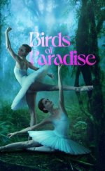 Cennet Kuşları izle – Birds of Paradise 2021 Filmi izle