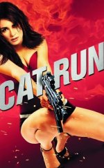 Güzel Tanık izle – Cat Run izle (2011)