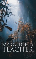 Ahtapottan Öğrendiklerim izle – My Octopus Teacher (2020)