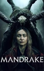 Mandrake izle (2022)