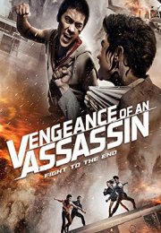 Vengeance of an Assassin Türkçe Altyazılı izle