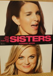 Kız Kardeşler izle | Sisters (2015) Türkçe Dublaj izle