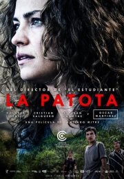 Paulina 2015 Türkçe Dublaj izle