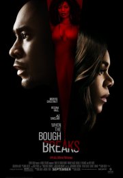 When the Bough Breaks 2016 Türkçe Altyazılı izle