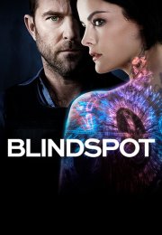 Blindspot 3.Sezon izle | Tüm Bölümleri Türkçe Dublaj izle