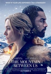 Aramızdaki Sözler izle | The Mountain Between Us 2017 Türkçe Dublaj izle