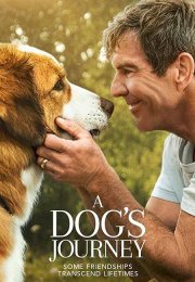 A Dog’s Journey 2019 Türkçe Dublaj Film izle