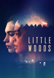 Küçük Orman izle – Little Woods 2019 Filmi izle