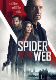 Ağdaki Örümcek – Spider in the Web 2019 Filmi Full HD izle