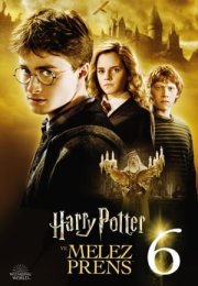 Harry Potter ve Melez Prens 2009 Filmi izle