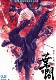 Ip Man Kung Fu Master 2019 Filmi izle