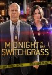 Midnight in the Switchgrass 2021 Filmi izle