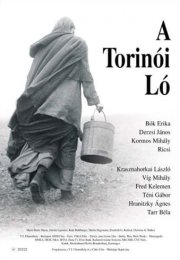 Torino Atı izle – Torino Atı 2011 Filmi izle