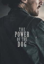 The Power of the Dog izle – The Power of the Dog 2021 Film izle