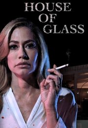 House of Glass 2021 Film izle