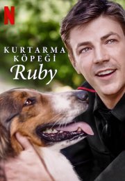 Kurtarma Köpeği Ruby izle – Rescued by Ruby (2022)