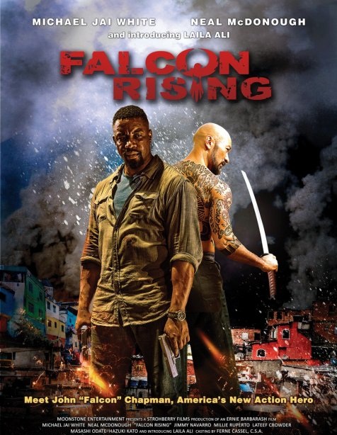 Falcon Rising 2014 Türkçe Dublaj izle